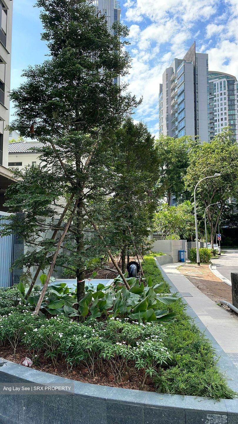 10 Evelyn (D11), Apartment #357475241